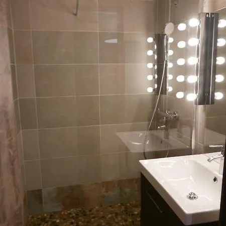 Les 2 Alpes-studio De Charme Au Pieds Des Pistes Appartement *